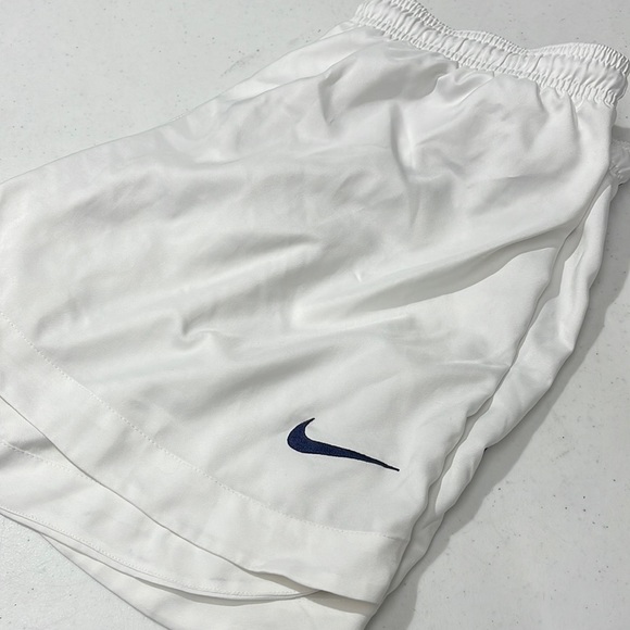 Nike Other - Nike dry fit trunks LG